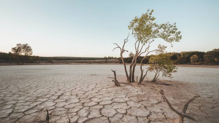 The silent crisis: how water scarcity affects global health