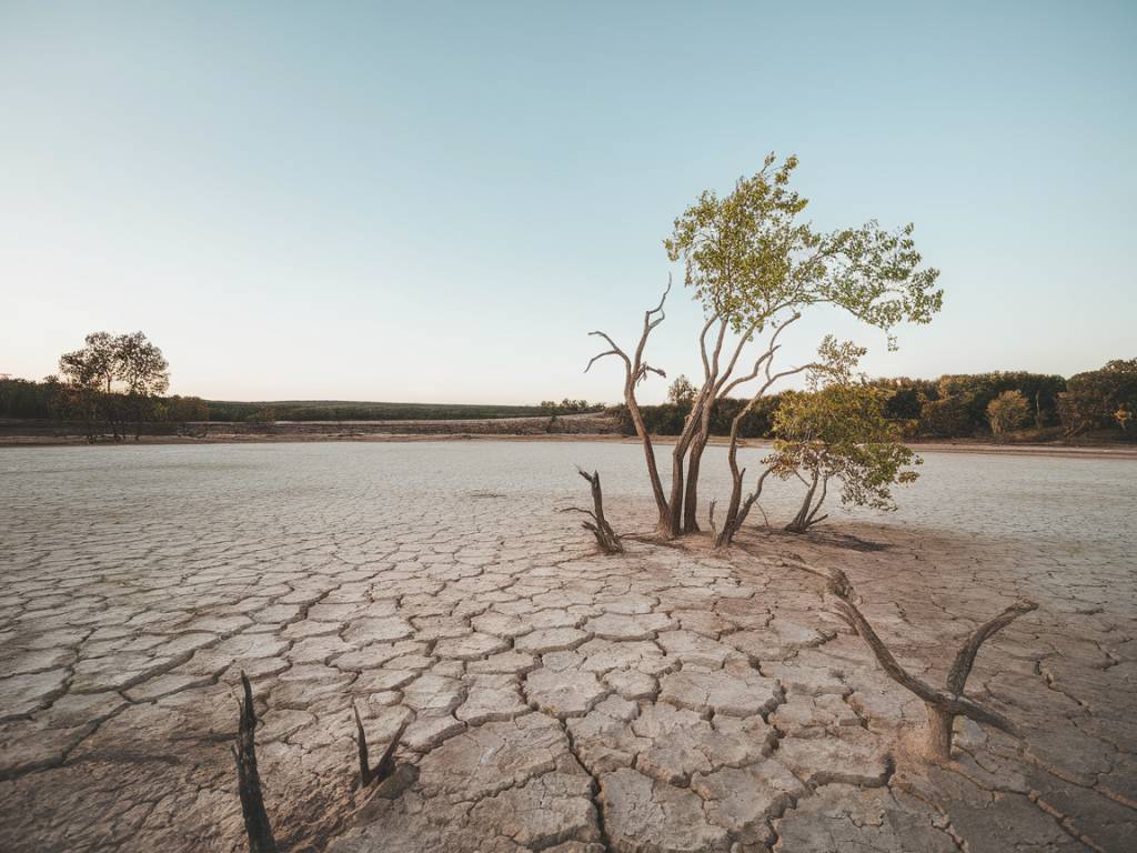 The silent crisis: how water scarcity affects global health